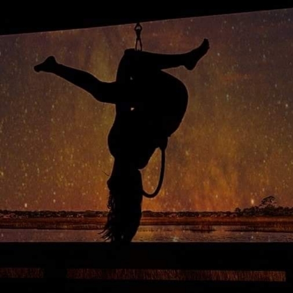 Meet your Posher, Bella - Picture 10 of 16